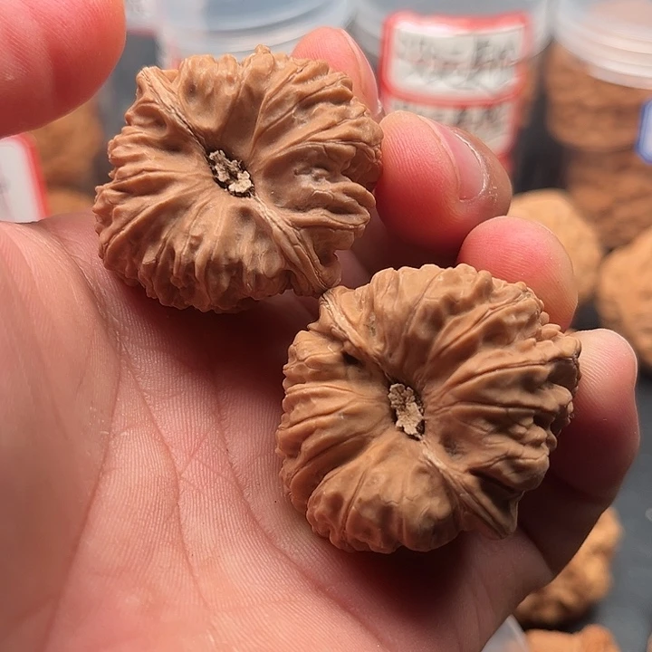 文玩核桃把件aodi