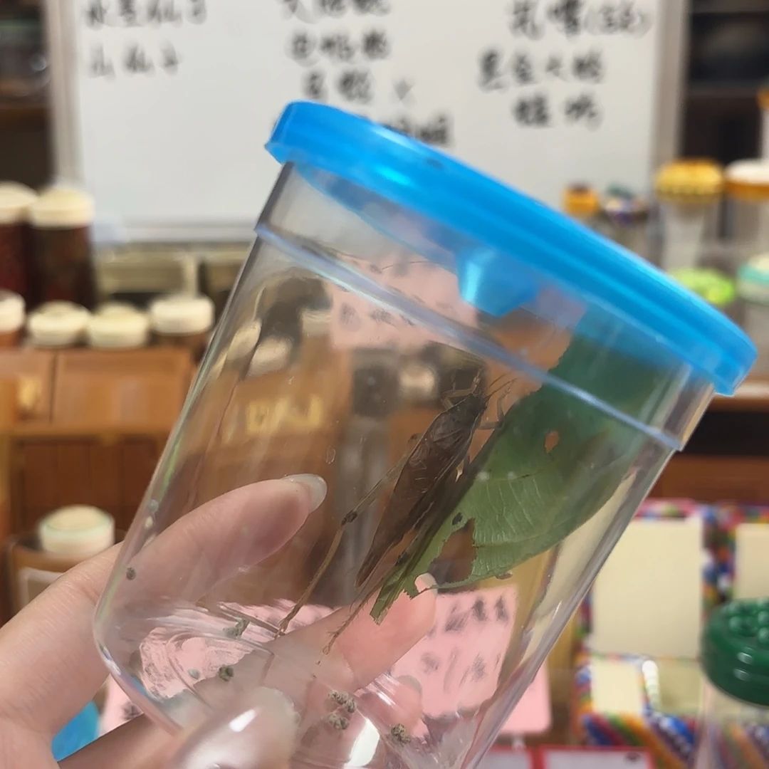 断须尾大隐一条啊