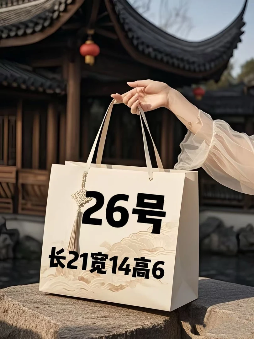 （26）号软盒子包简约百搭A6705