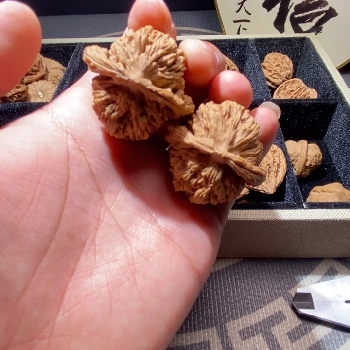 菊花底四座楼，，，，，