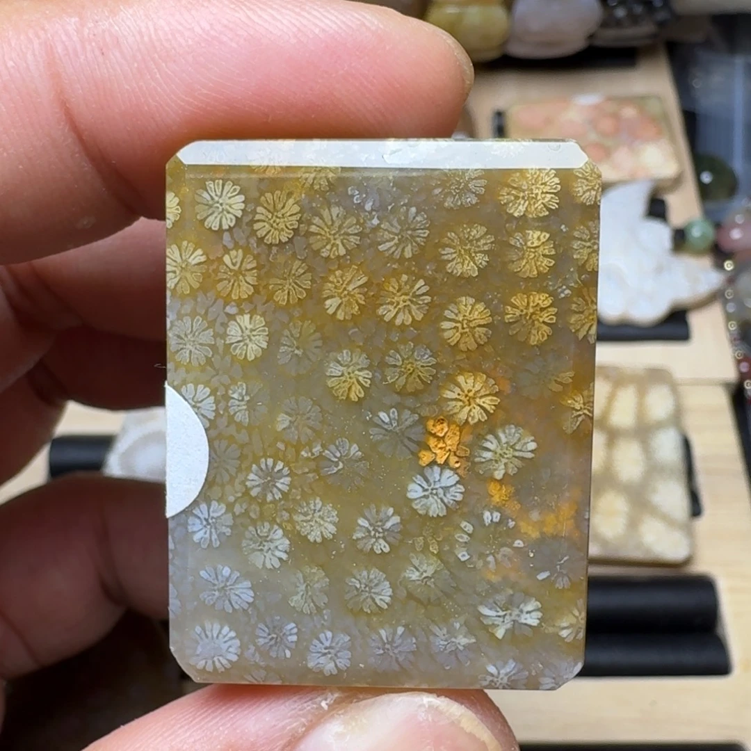 未镶嵌纯天然色有机玉石保真色硅化玉