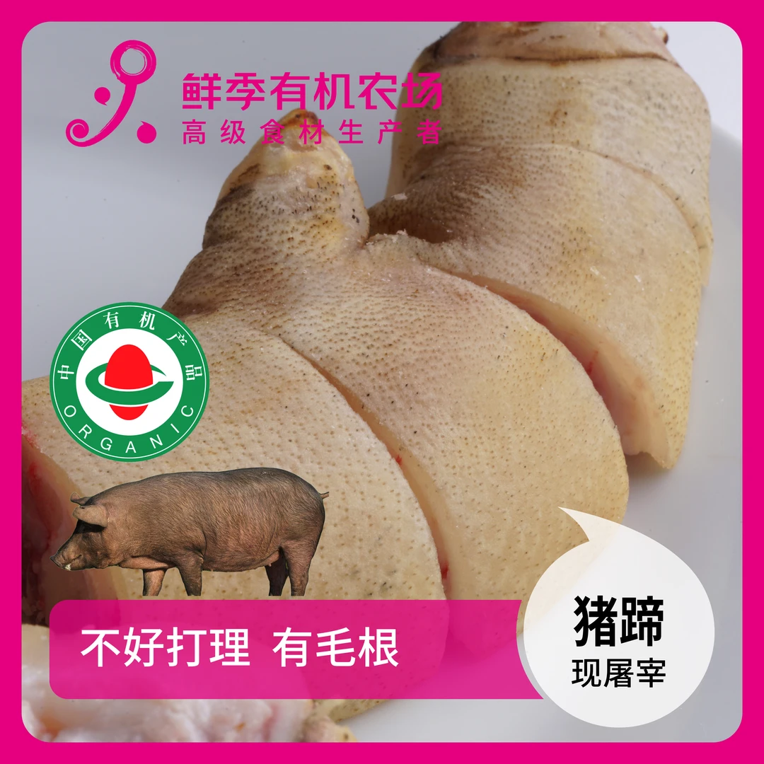 鲜季全自产 有机猪蹄1个切块 黑猪 有黑猪毛 鲜肉非冻品/空运