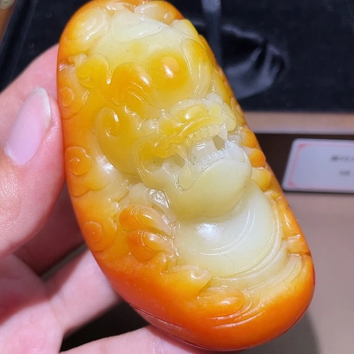 和田玉颈饰未镶嵌Y