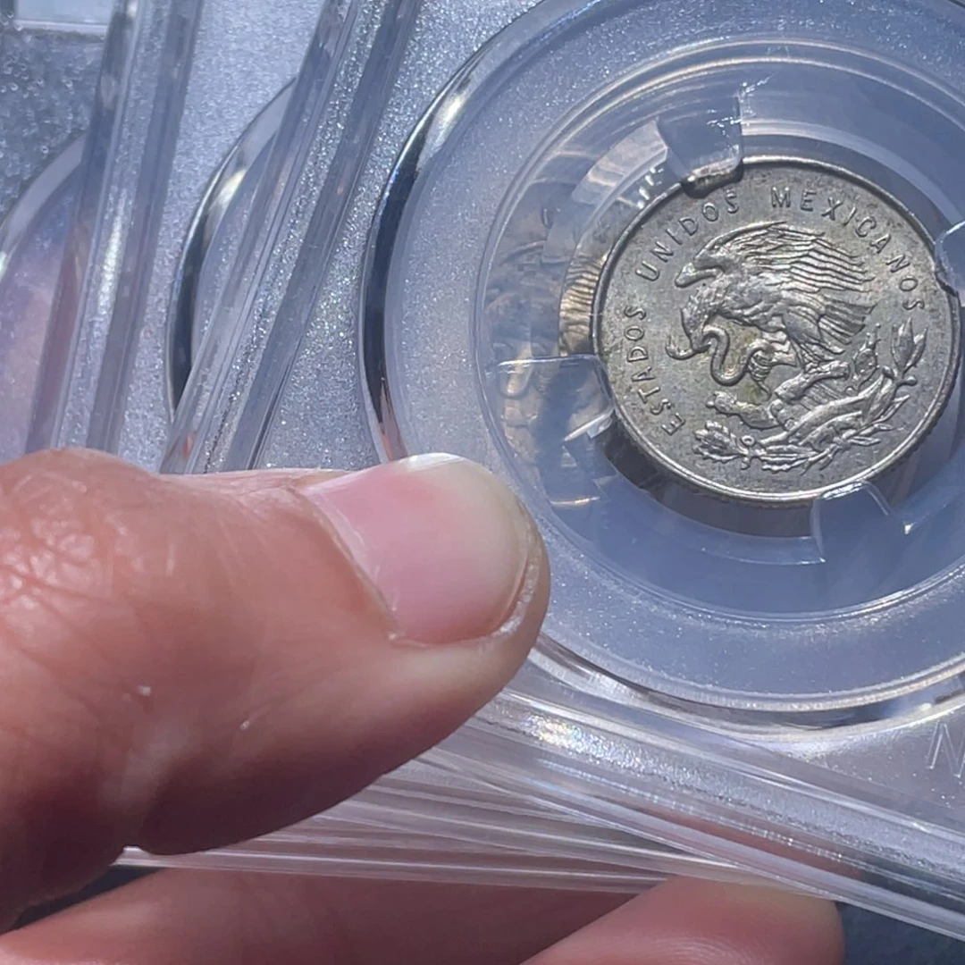 金属如**海吞吞铜元收藏吞5853.3枚