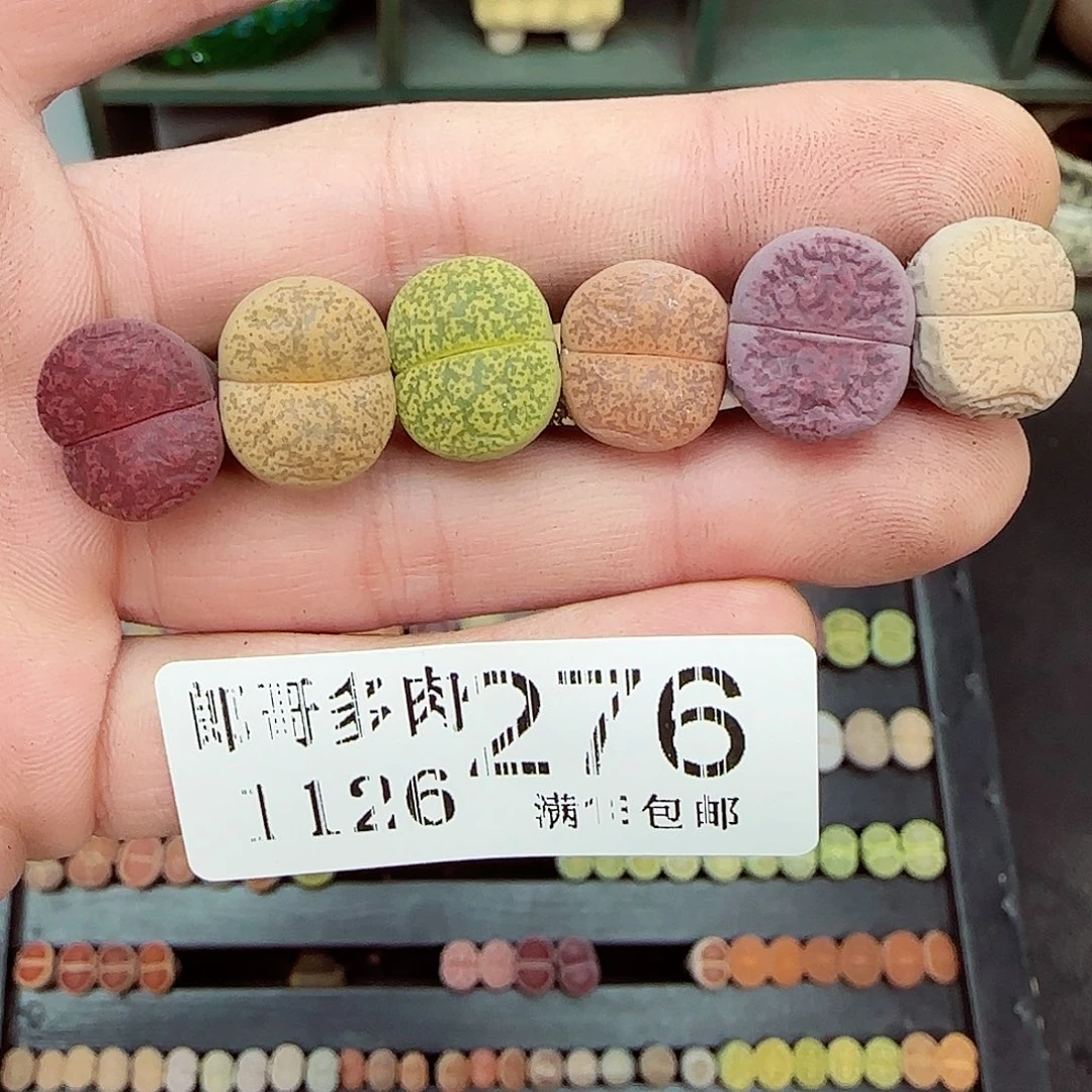 满满18包邮1126-276