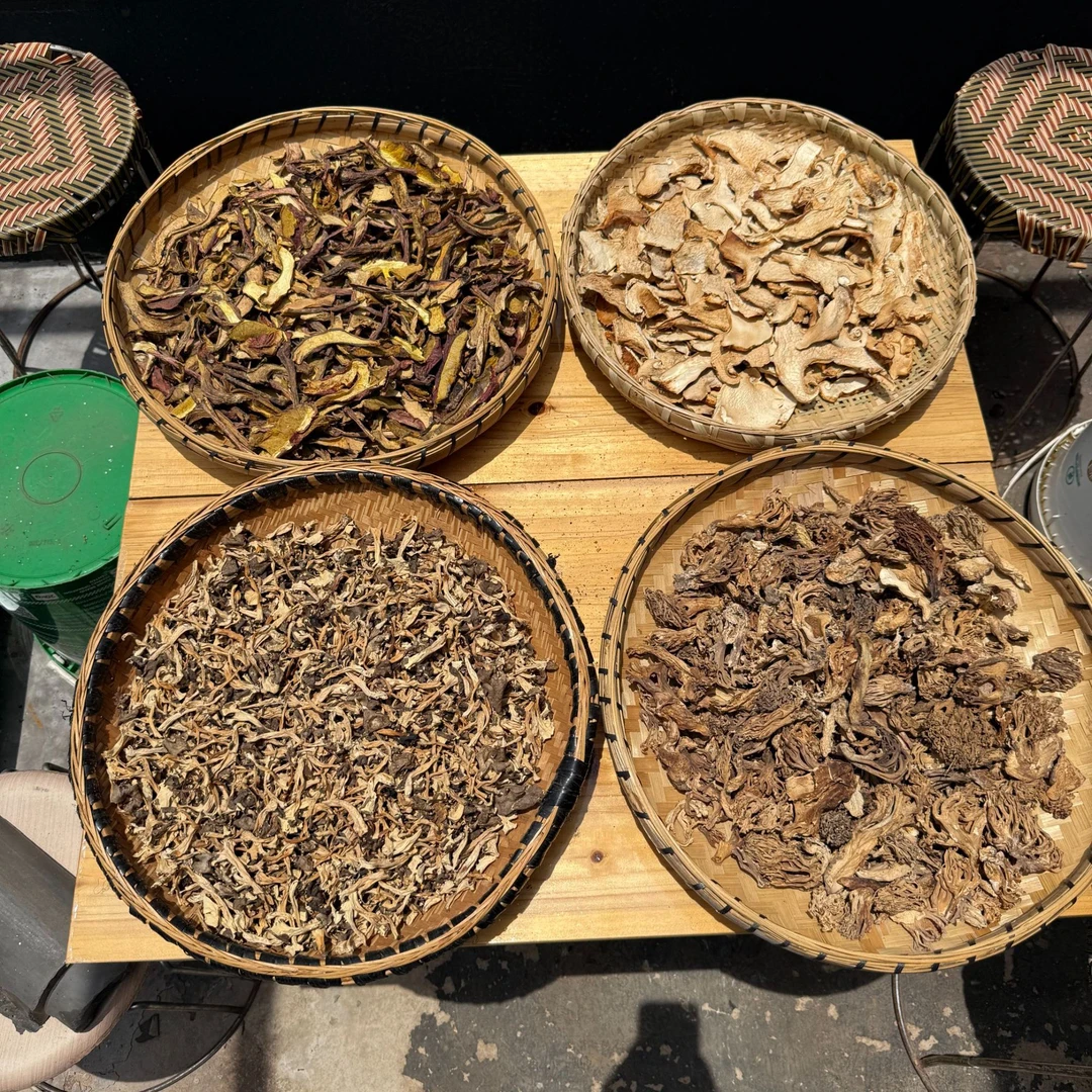 【主播推荐爆炒组合】红葱牛肝菌+桂花菌+老人头+珊瑚菌各半斤爆炒