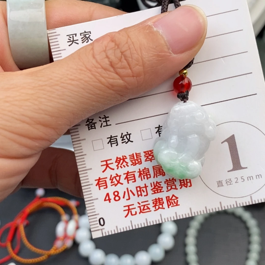 翡翠未镶嵌颈饰貔貅