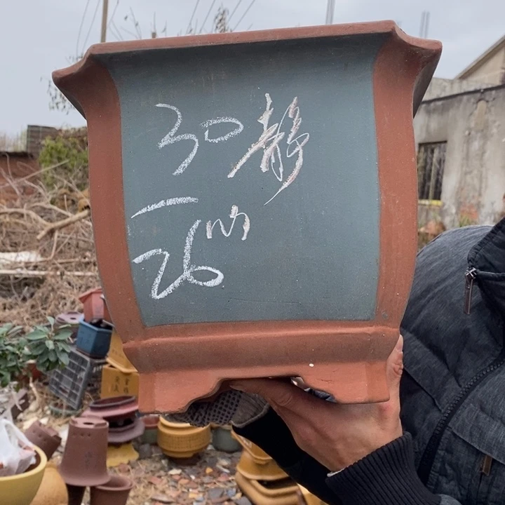 花盆紫砂紫砂艺术学院的