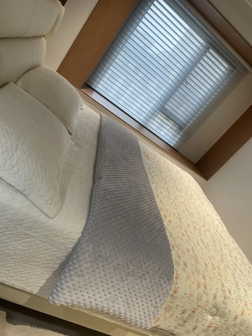 卡通懒人豆豆被（多花型可选）