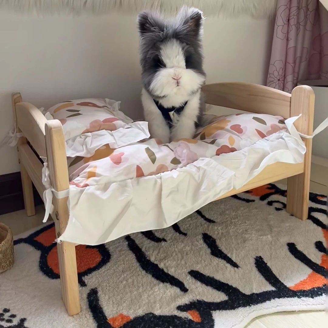 兔子实木床睡觉侏儒兔睡床龙猫豚鼠荷兰猪舒适四季夏季猫窝兔子窝