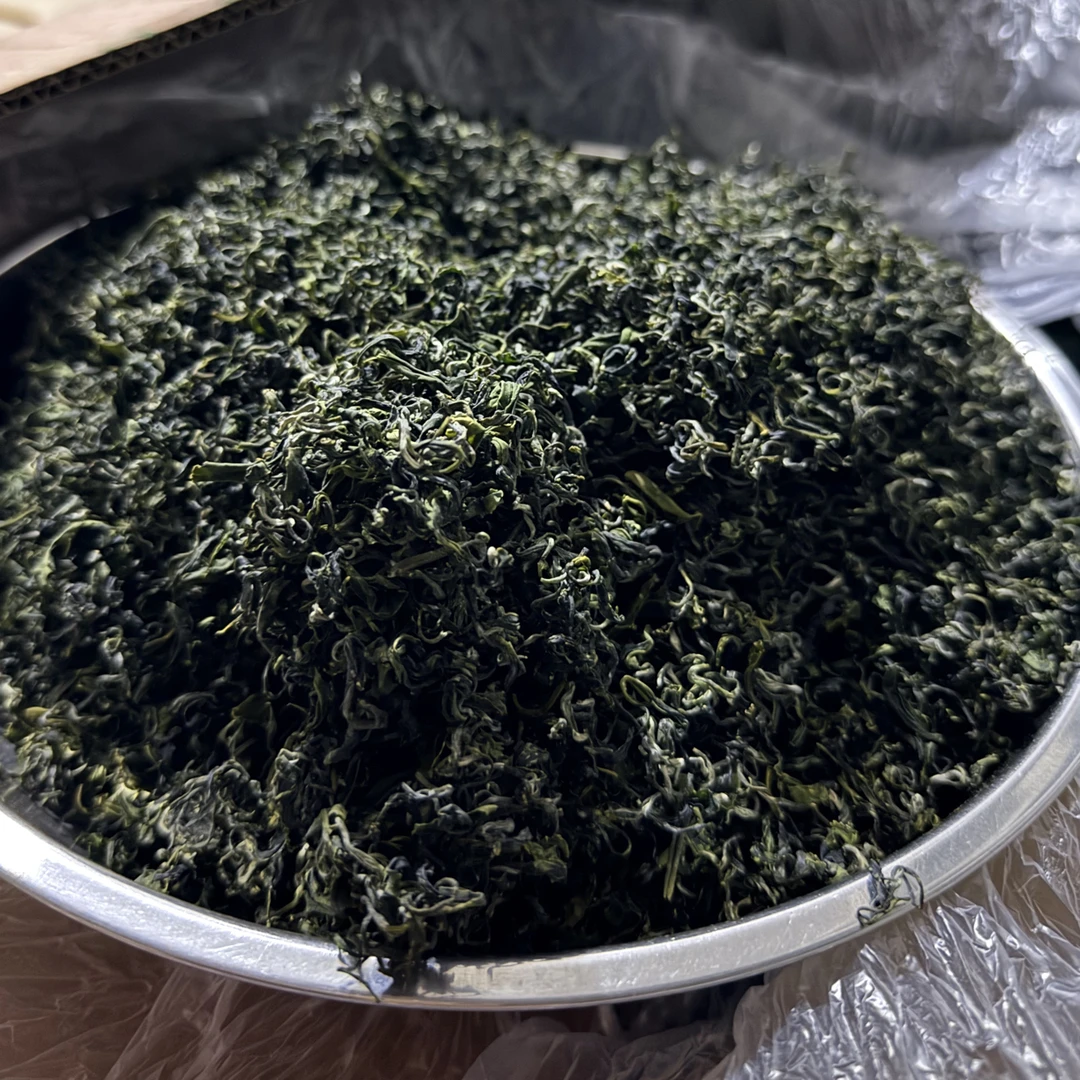 日照绿茶秋茶一芽一十月上旬炒耐冲泡香气高