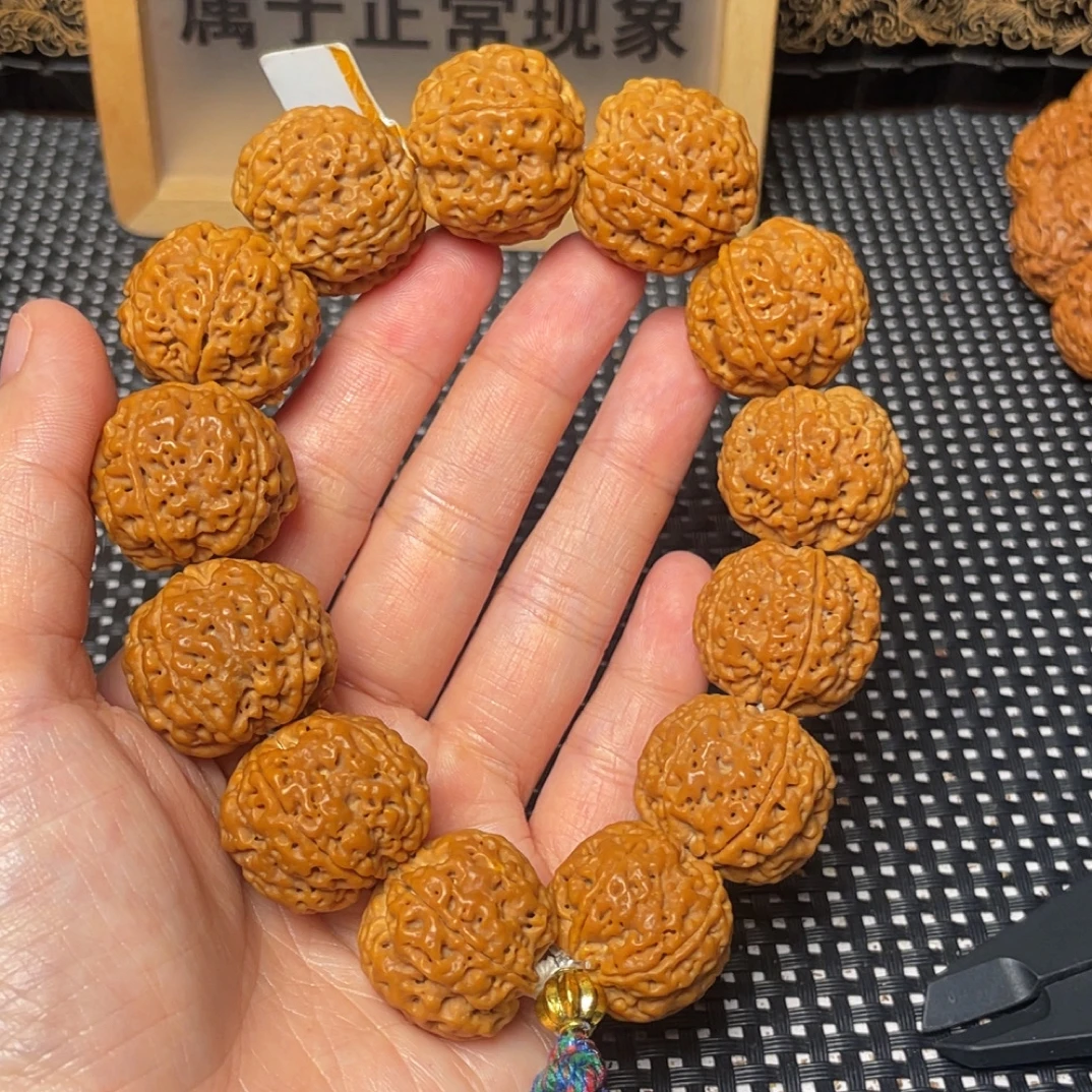 爆肉针孔蜂王，尼泊尔大金刚。