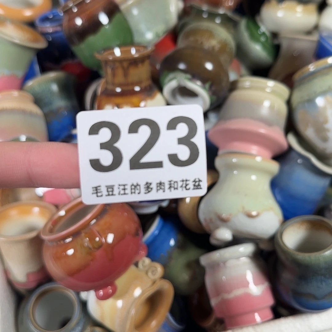 323 瑕疵特惠 六只盆 no退no换