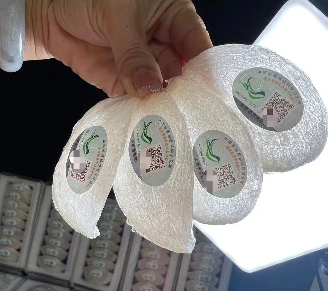 【大洁姐专属】蜗蜗  30g