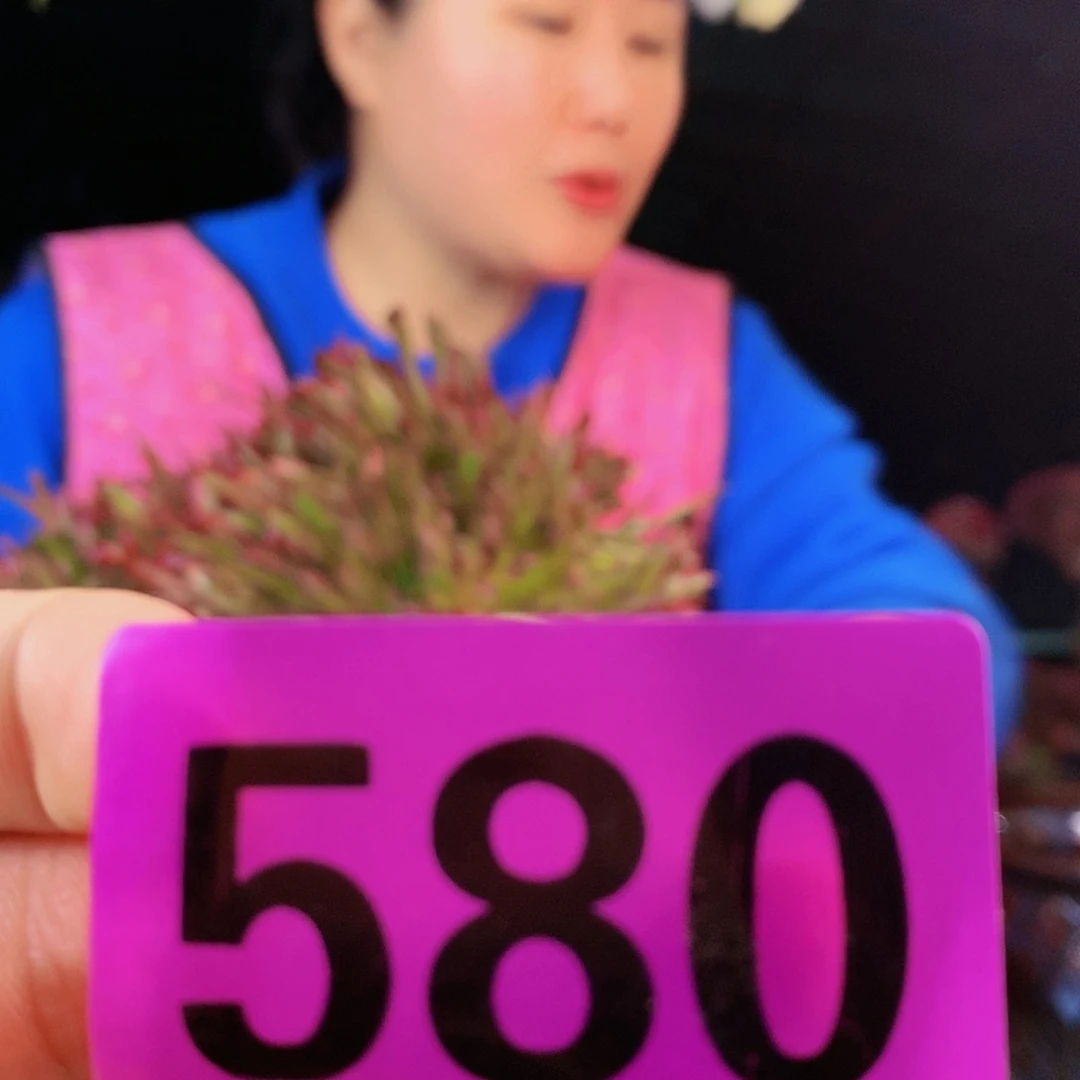 ssssssssssssssssssss580