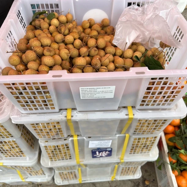 【泰国龙眼】肉质晶莹剔透 味道甜美（小核）1公斤