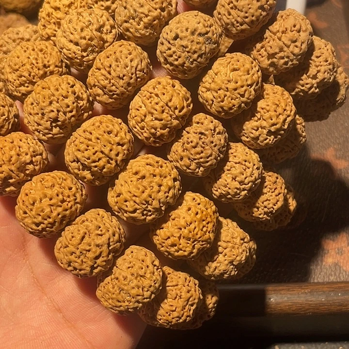 手串金刚菩提五瓣