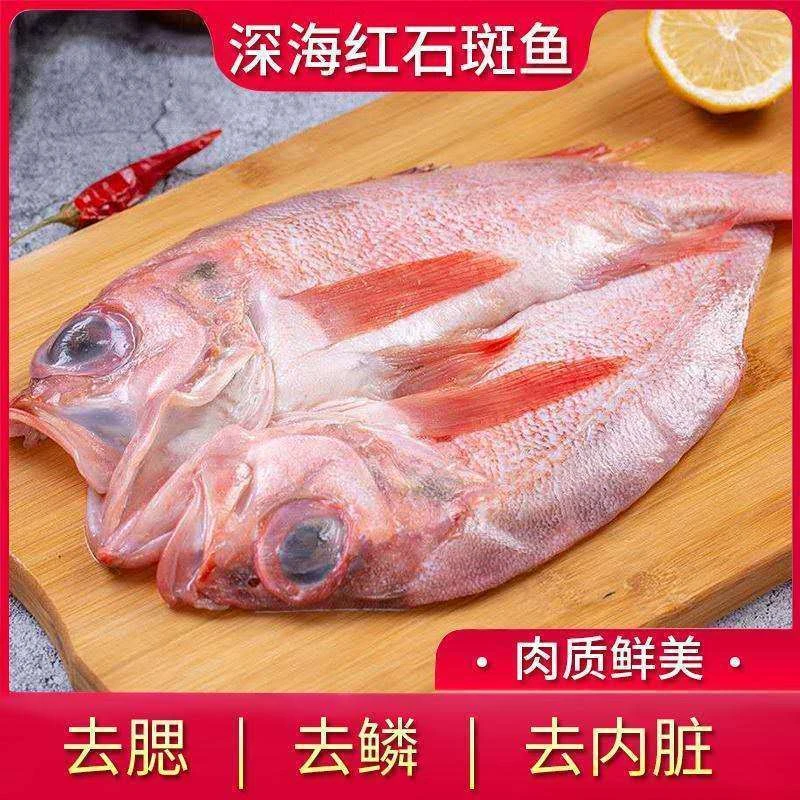 【发5条到手5斤】开背红石斑鱼去鳞去内脏速冻深海鱼肉质紧实Q弹Z