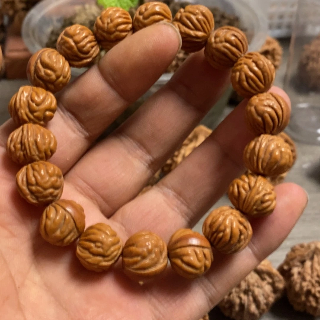 尘*小金豆11111111111111