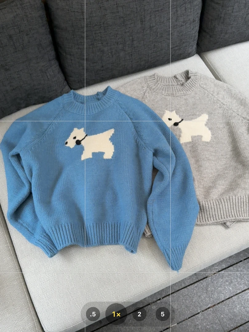 PP~慵懒风提花套头卡通小狗毛衣秋冬韩版