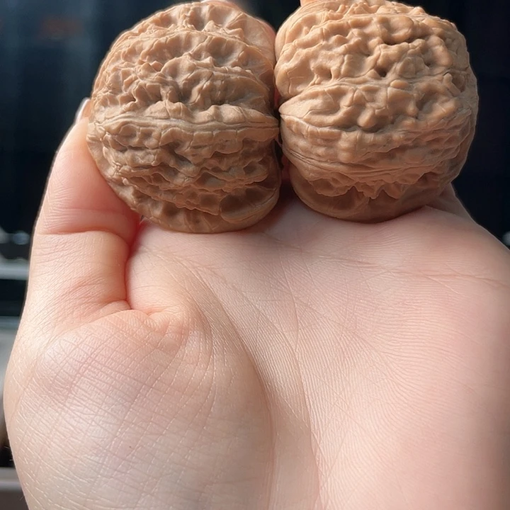桃核吊坠M****张白狮子42尺