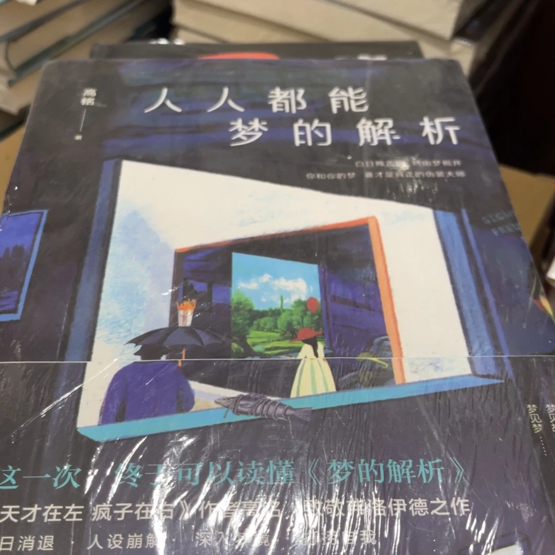 人人都能梦到解析