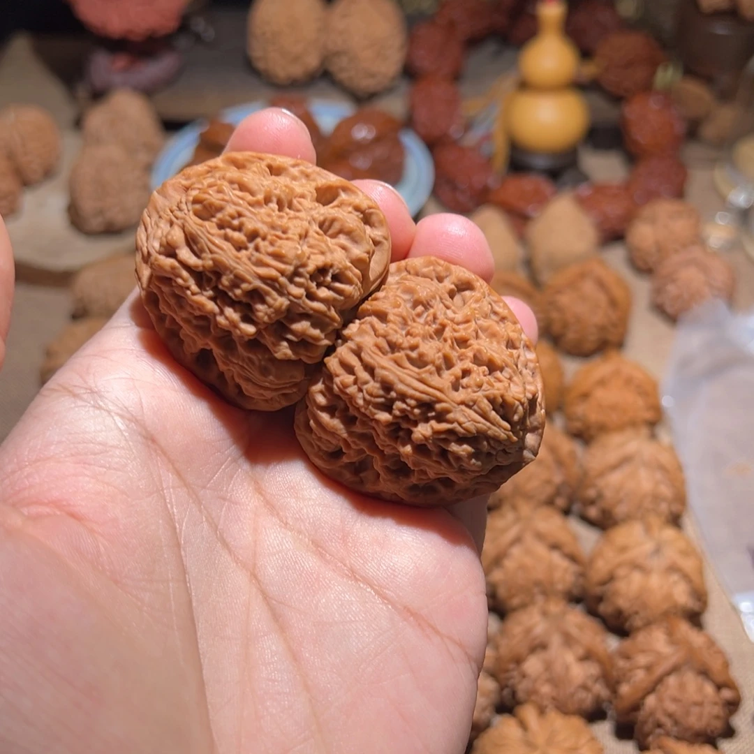 胖胖专属-三角南疆