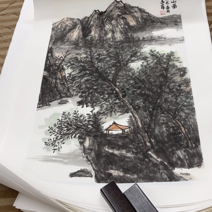 国画花鸟的翅膀和翅膀是一样的吗哈哈笑而不言笑