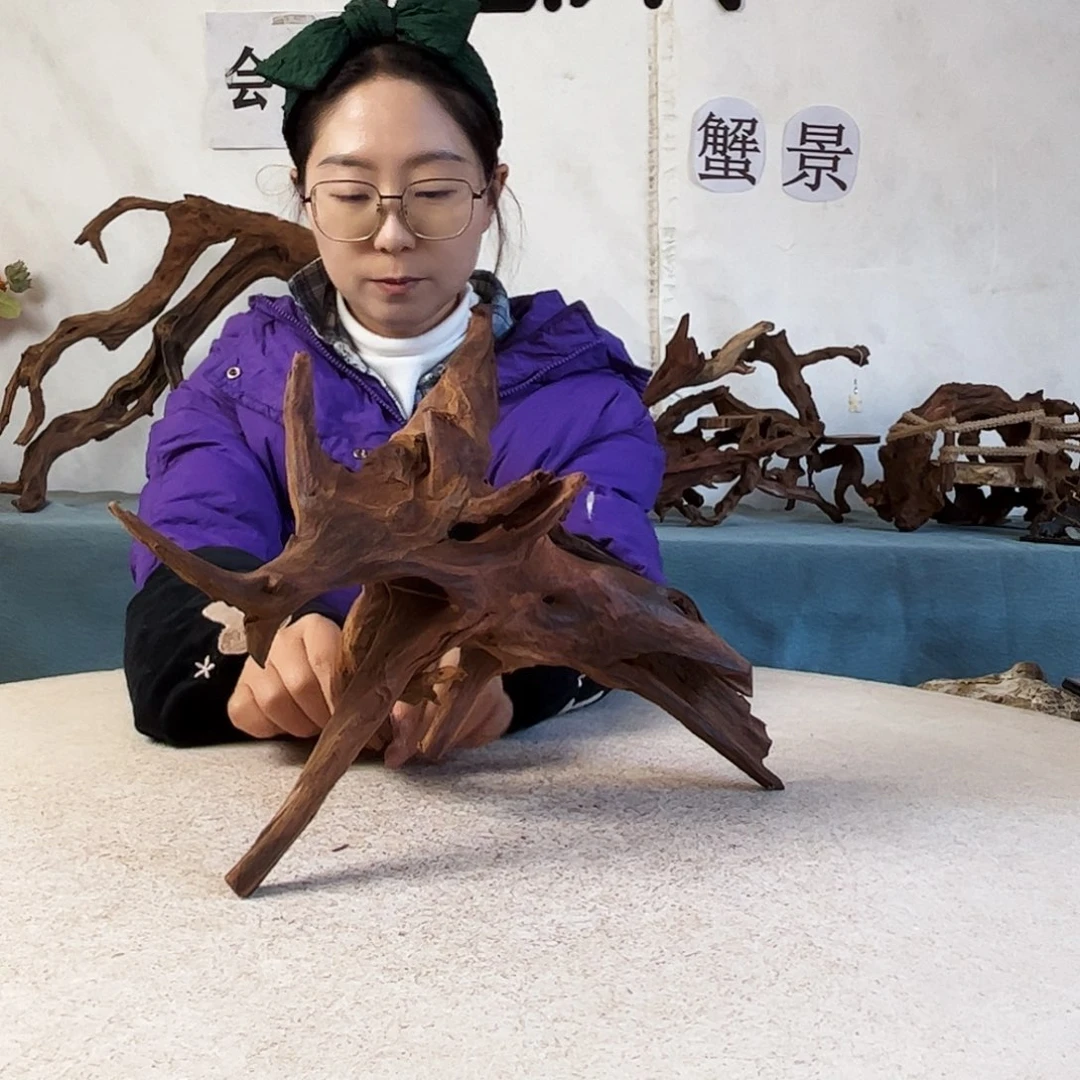 沉木造景爬宠造景