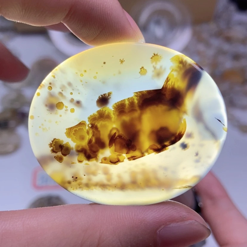 【闪购商品】玛瑙/玉髓颈饰合金