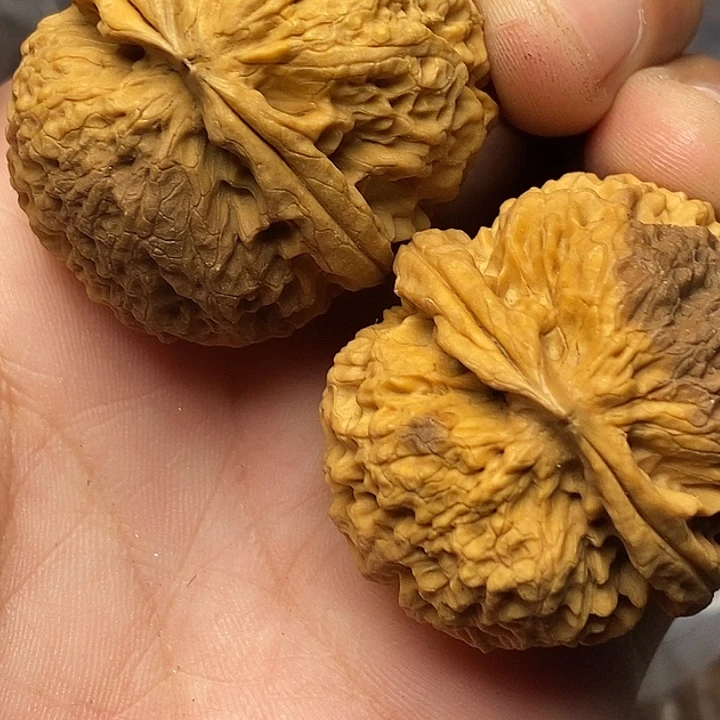 文玩核桃把件志成云铁文玩48