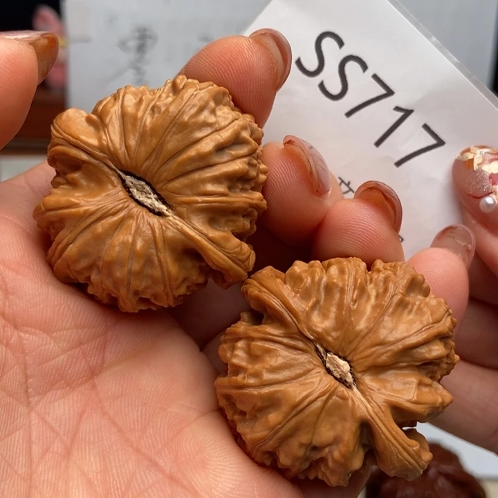 把件文玩核桃粗棱肉球白狮子40