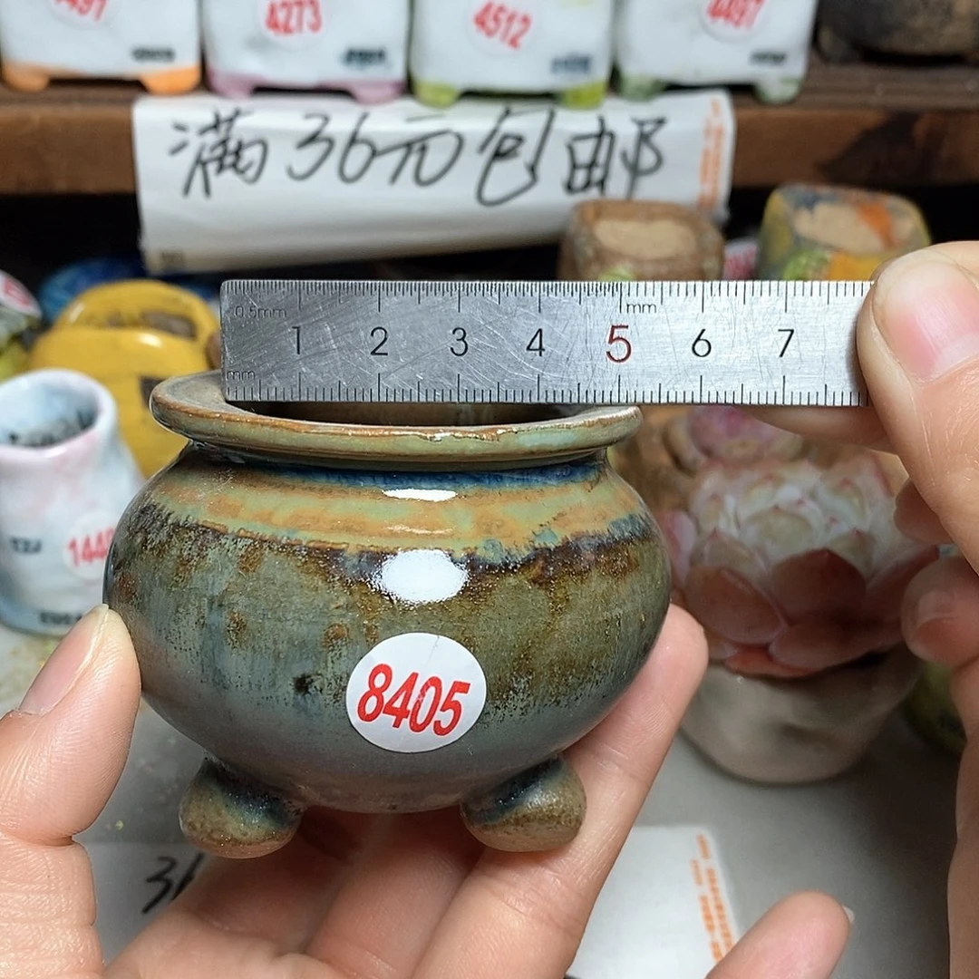 红陶拍5送一个小