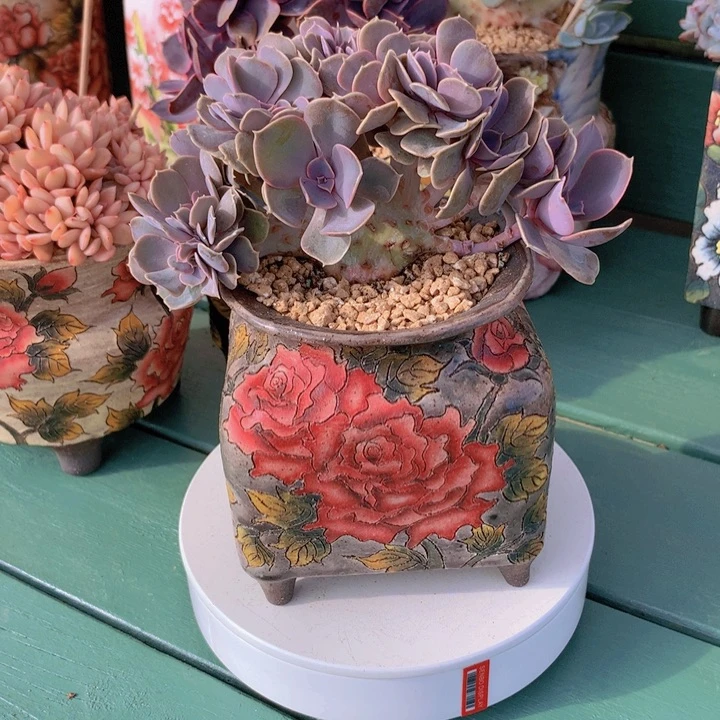 小****紫丁香朵朵无砍自然群