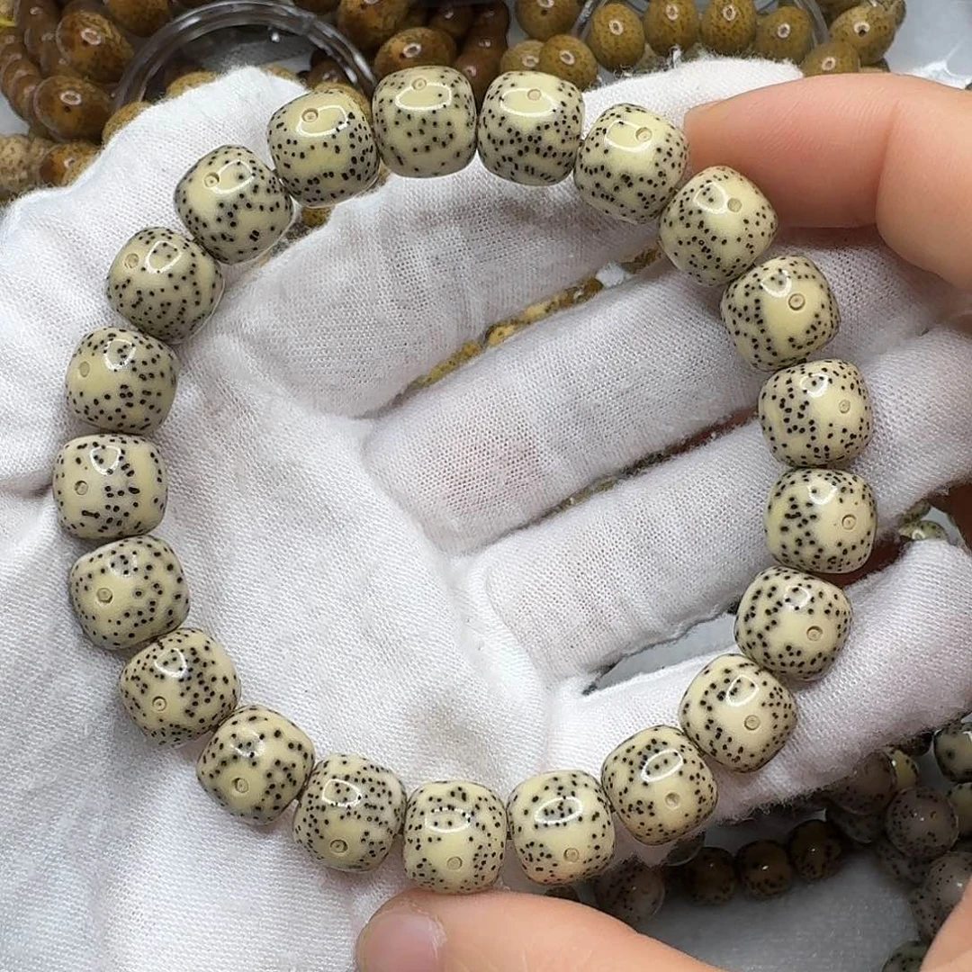 星月菩提手串11足尺黄金瞳石玉同枝