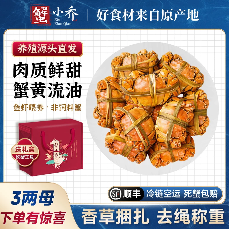 【3两母蟹】(送大公蟹)6-10只蟹小乔精品大闸蟹江苏固城湖螃蟹活蟹