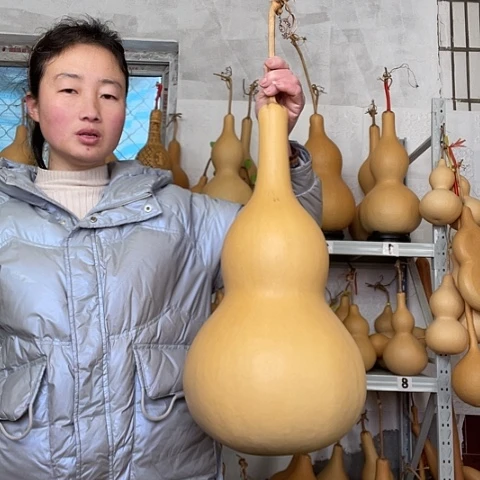 简****好天然植物葫芦文玩