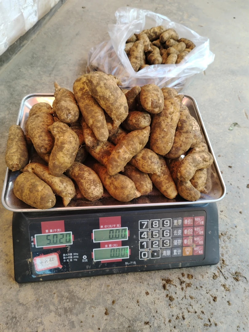 新鲜天麻《小果》一斤10-13个三斤起配礼盒