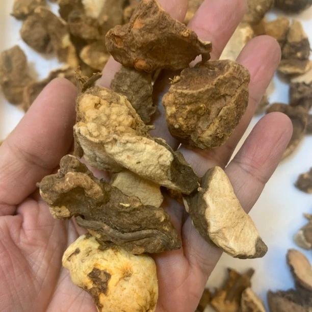 广西农产品 土茯苓 野营养可煲汤煲水食用 500克散装
