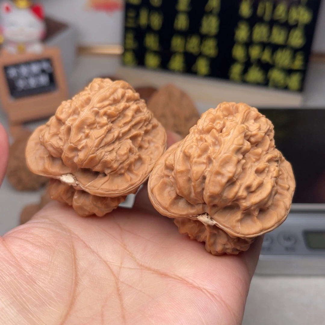 文玩核桃把件龟甲大蟾王