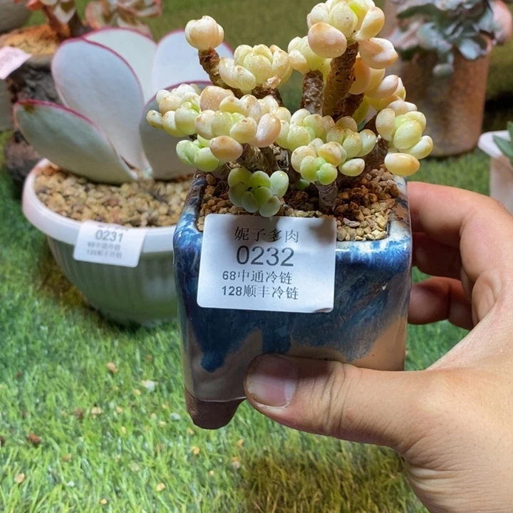 0232啊啊啊啊啊啊啊啊啊