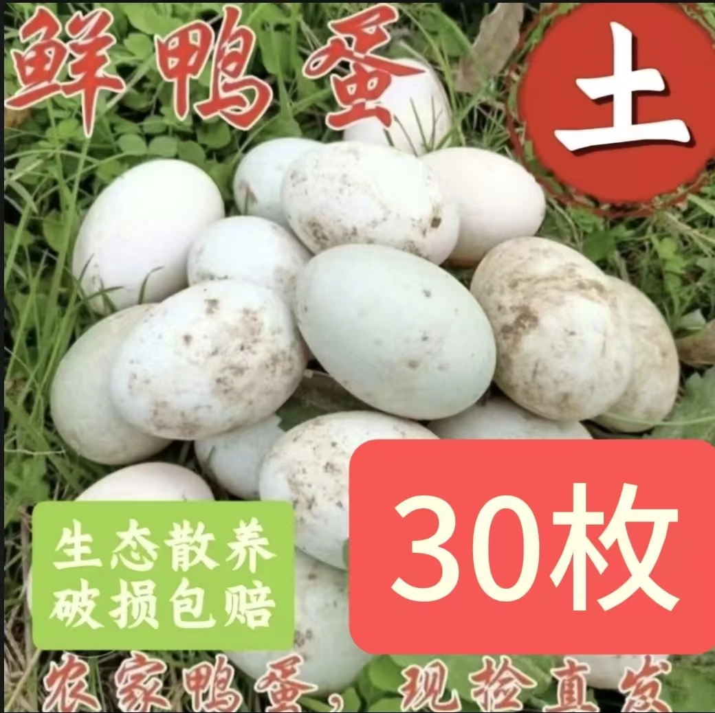 农家散养30枚土鸭蛋  不土包赔 包谷玉米喂养 可腌蛋 营养丰富