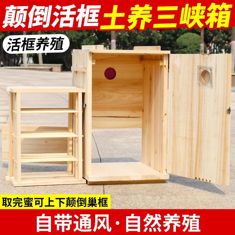 竖养颠倒活板土养三峡蜂箱养蜜蜂专用大号养殖箱成品发货