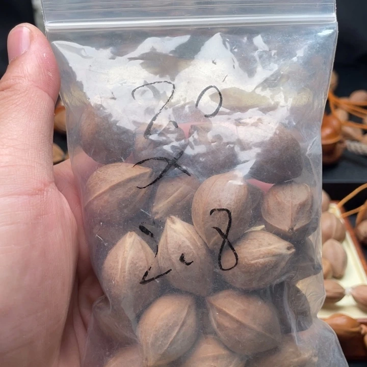 橄榄核手串/手链岳*雅20/28 三花铁核10颗