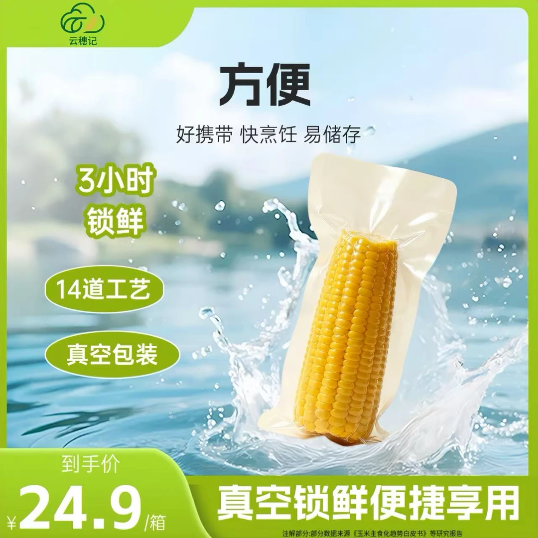 【新人专属】升级HG包装膜2025年黄糯玉米本土品种270克-350克