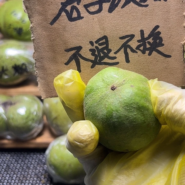 T***G蛤蟆头福利多多呀利好