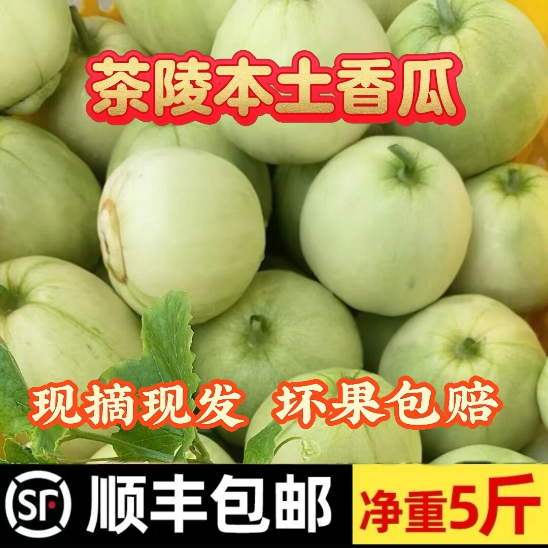 【代买 顺丰】湖南茶陵本地露天香瓜甜瓜香甜脆现摘现发5斤装