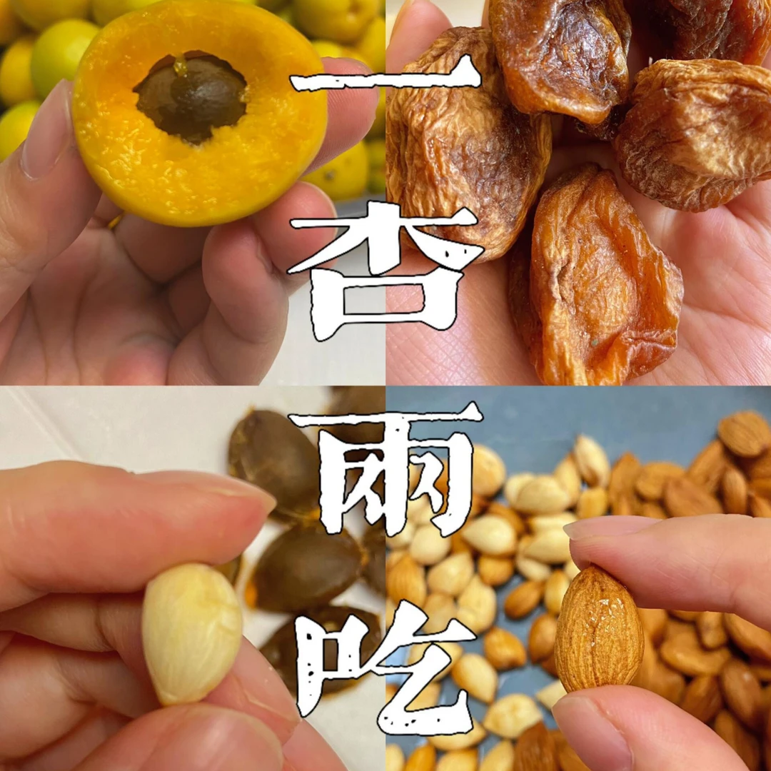 【福利体验】25年轮台小白杏干自然成熟晾晒一杏两吃甜杏仁新疆直发