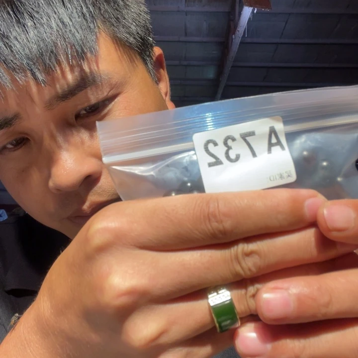 大叶紫檀（黑酸枝木类）732
