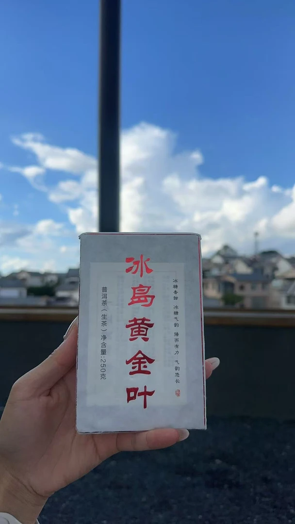 10月9日  250克*4砖 25年冰岛老寨黄金叶  生茶砖茶   F-127
